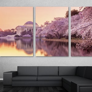 May include: A panoramic view of the Jefferson Memorial in Washington, D.C. during cherry blossom season. The memorial is reflected in the water, surrounded by pink cherry blossom trees.