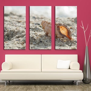 May include: A triptych of three canvas prints featuring a seashell on a sandy beach. The shell is light brown with a white interior and is partially buried in the sand. The sand is a light beige color and the background is a blurry blue sky.