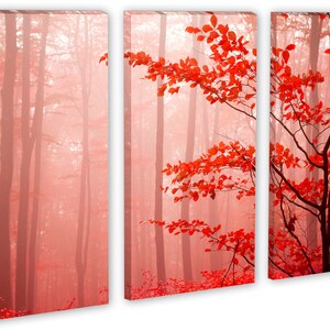 Op de afbeelding: Een triptiek van drie canvas prints die een mistige bos sc&egrave;ne met rode bladeren tonen. Het middelste paneel toont een tak met rode bladeren die zich uitstrekt vanaf de rechterkant van de afbeelding. De linker- en rechterpanelen tonen het bos op de achtergrond.