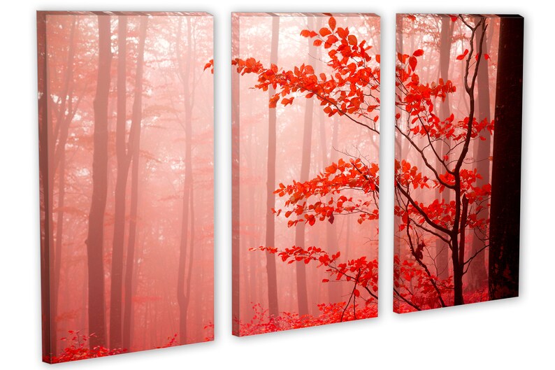 Op de afbeelding: Een triptiek van drie canvas prints die een mistige bos sc&egrave;ne met rode bladeren tonen. Het middelste paneel toont een tak met rode bladeren die zich uitstrekt vanaf de rechterkant van de afbeelding. De linker- en rechterpanelen tonen het bos op de achtergrond.