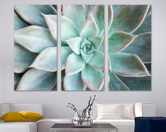 Echeveria Succulent Plant Canvas Print Wall Art. Botanical flower closeup. Aesthetic light green floral art - Giclee home office wall decor