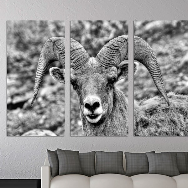 Mouflon à grande corne, impression sur toile bélier art mural noir et blanc - Art animalier de la faune du Wyoming - giclée d'art déco murale, décoration d'intérieur