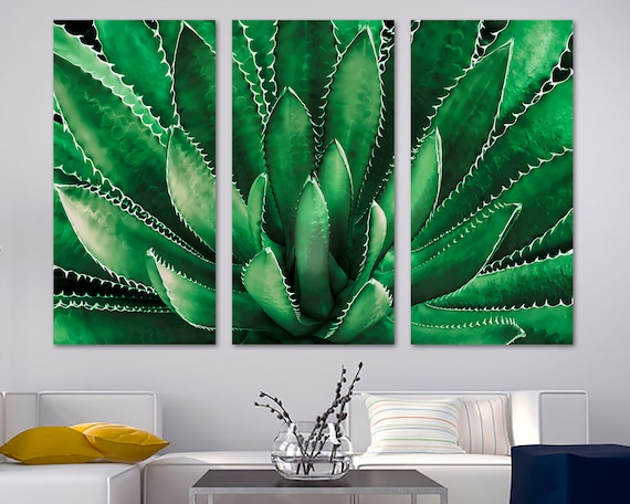 Agave Plant Canvas Print Wall Art Green Color. Botanical Print, Agave Wall  Art Tequilana Plant Agave Print - Giclee Home Office Wall Decor - Etsy