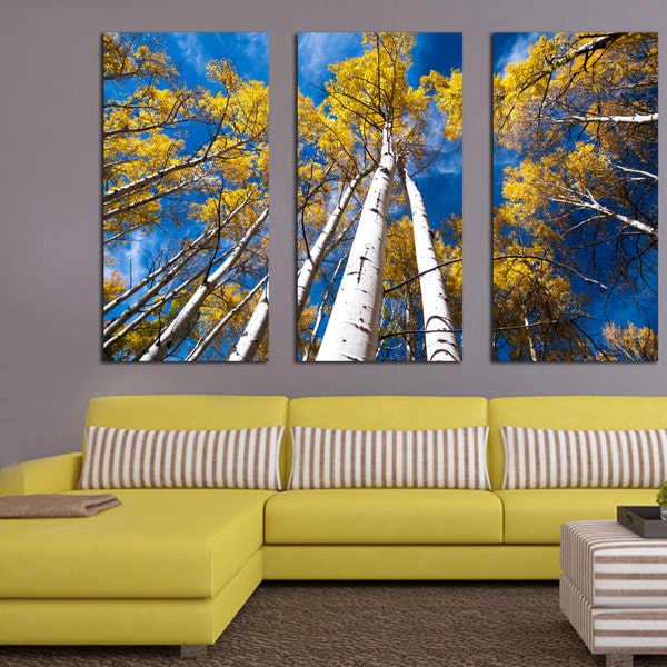 Aspen Trees and Blue Skies. 3 Panel Split (Triptych) Canvas Print. Forest, Nature photography for wall decor, interior design. Yellow leaves