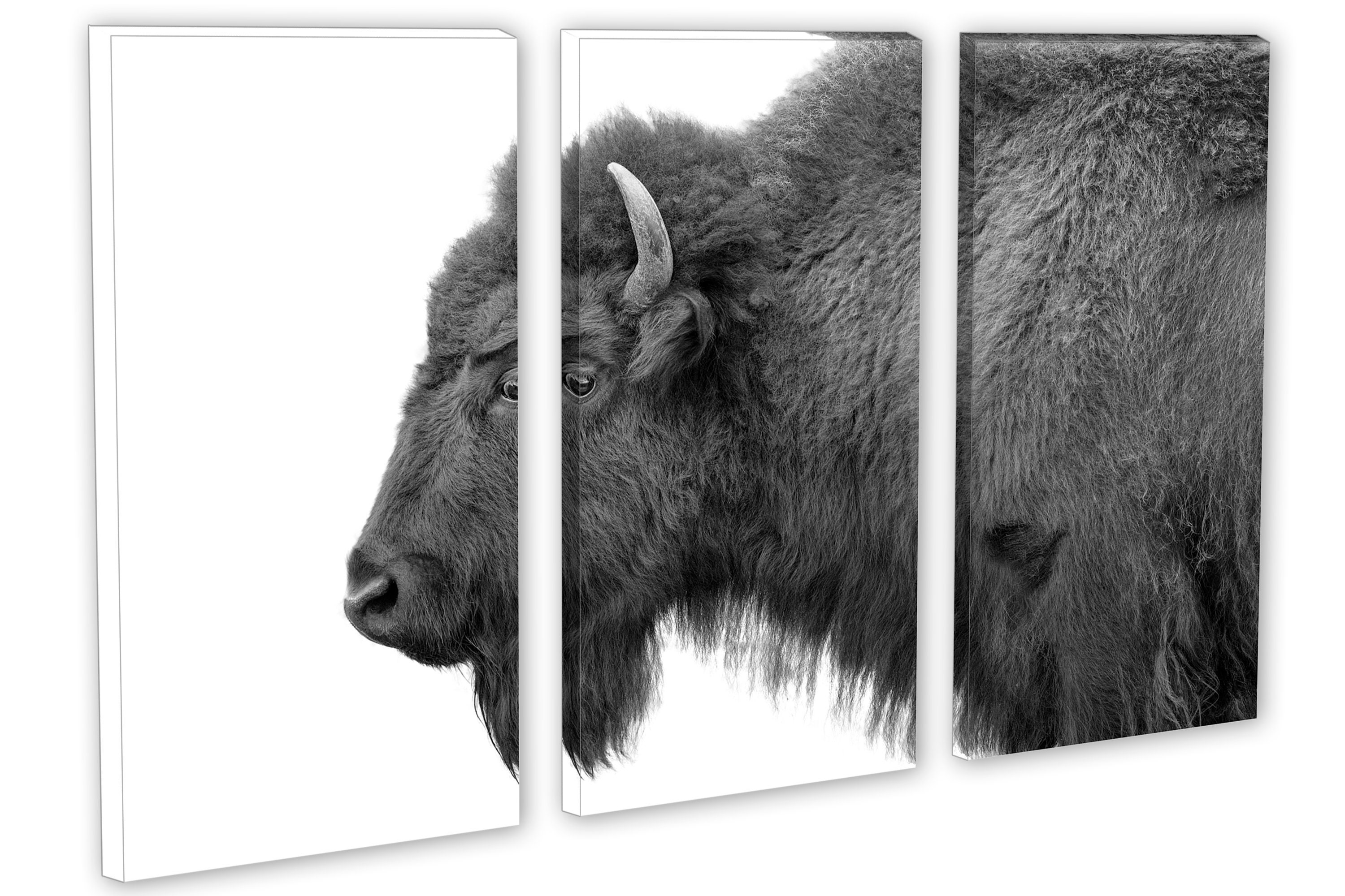 Bison Wall Art Black and White Canvas Buffalo Animal Print. Wildlife ...
