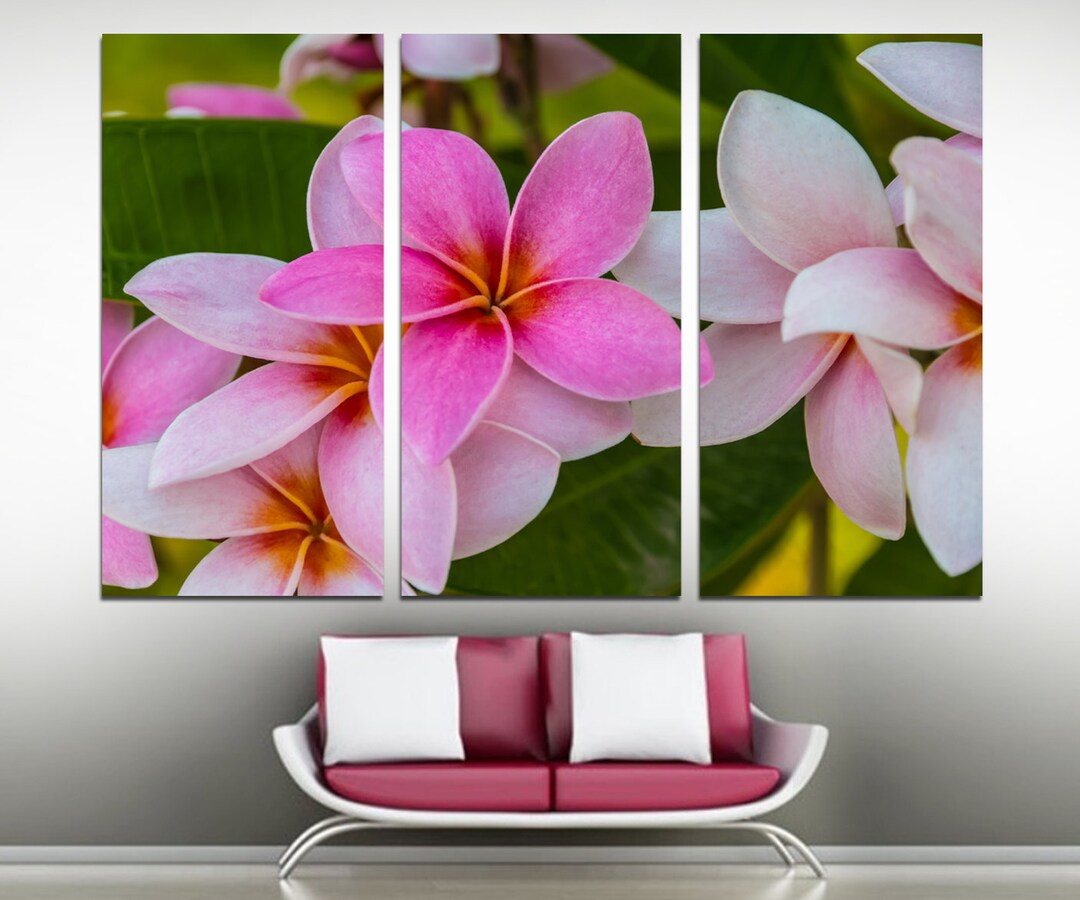 Pink Plumeria Canvas Wall Art Tropical Frangipani Botanical Photography ...