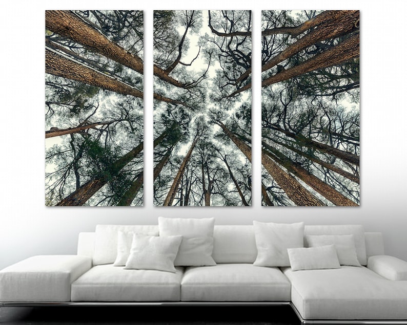 Cedars Trees Wall Art Canvas Print as Forest Nature Decor. - Etsy