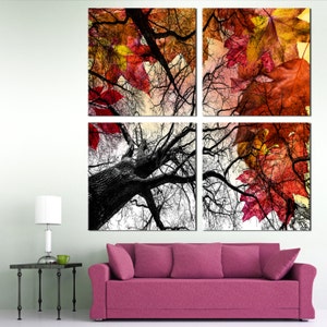 May include: A four-panel canvas wall art print featuring a black and white image of a tree with bare branches reaching up towards a background of red and orange autumn leaves.