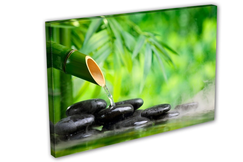 May include: A bamboo pipe pours water onto smooth black stones in a shallow pool. The water creates steam and the background is a blurred image of green bamboo leaves.