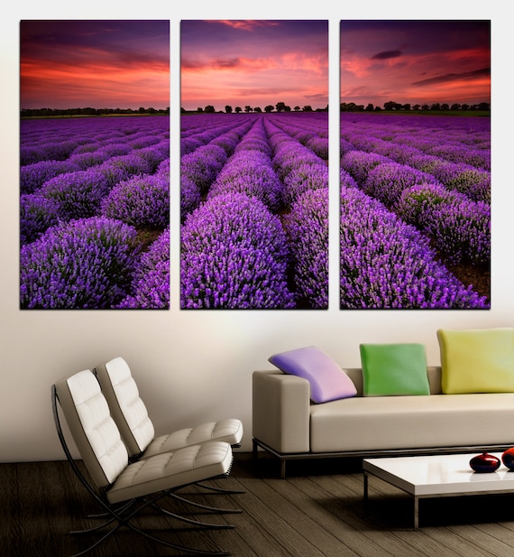Un Arbre Dans Un Champ De Fleurs Violettes Au Coucher Du Soleil | Image