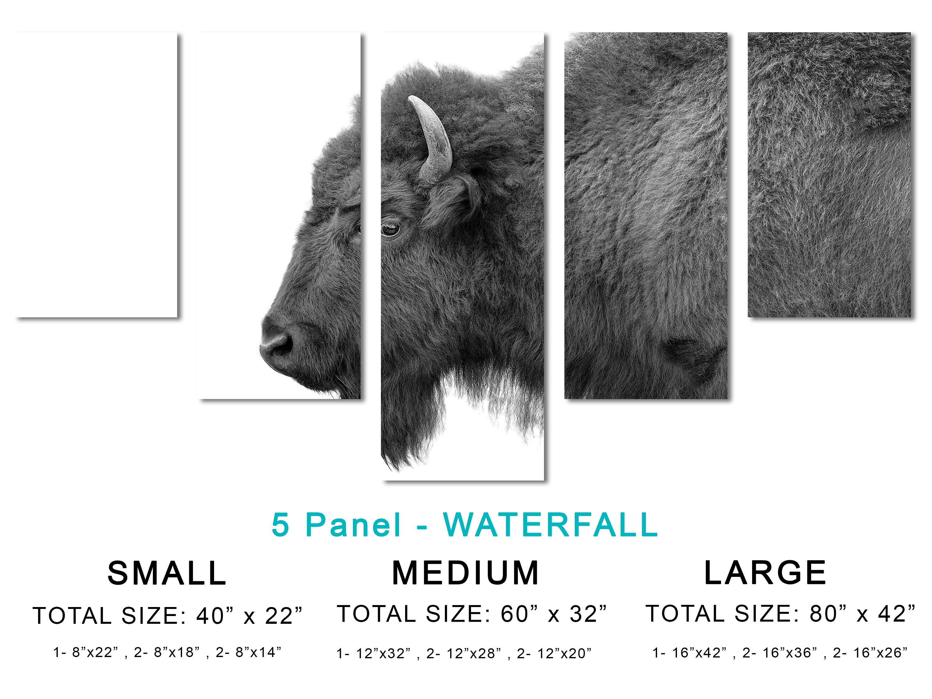 Bison Wall Art Black and White Canvas Buffalo Animal Print. Wildlife ...