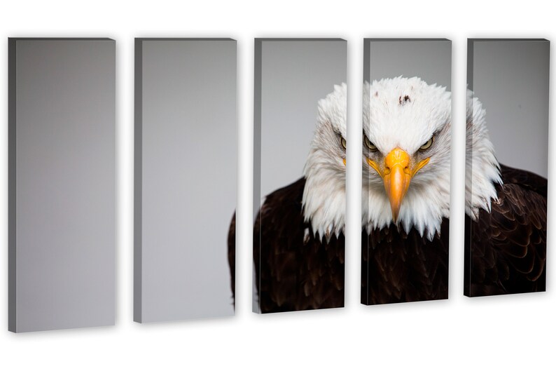 Interior Design American Symbol Eagle Bird Wall Decor American Bald Eagle Portrait Canvas Print Wall Art Animal Giclee Home Art Decor Prints Art Collectibles Hedoarchitects Pl