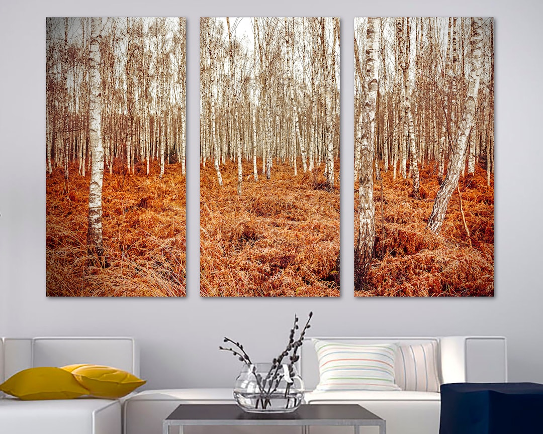 Autumn Birch Grove Canvas Print Wall Art - Birch Tree Forest Print ...