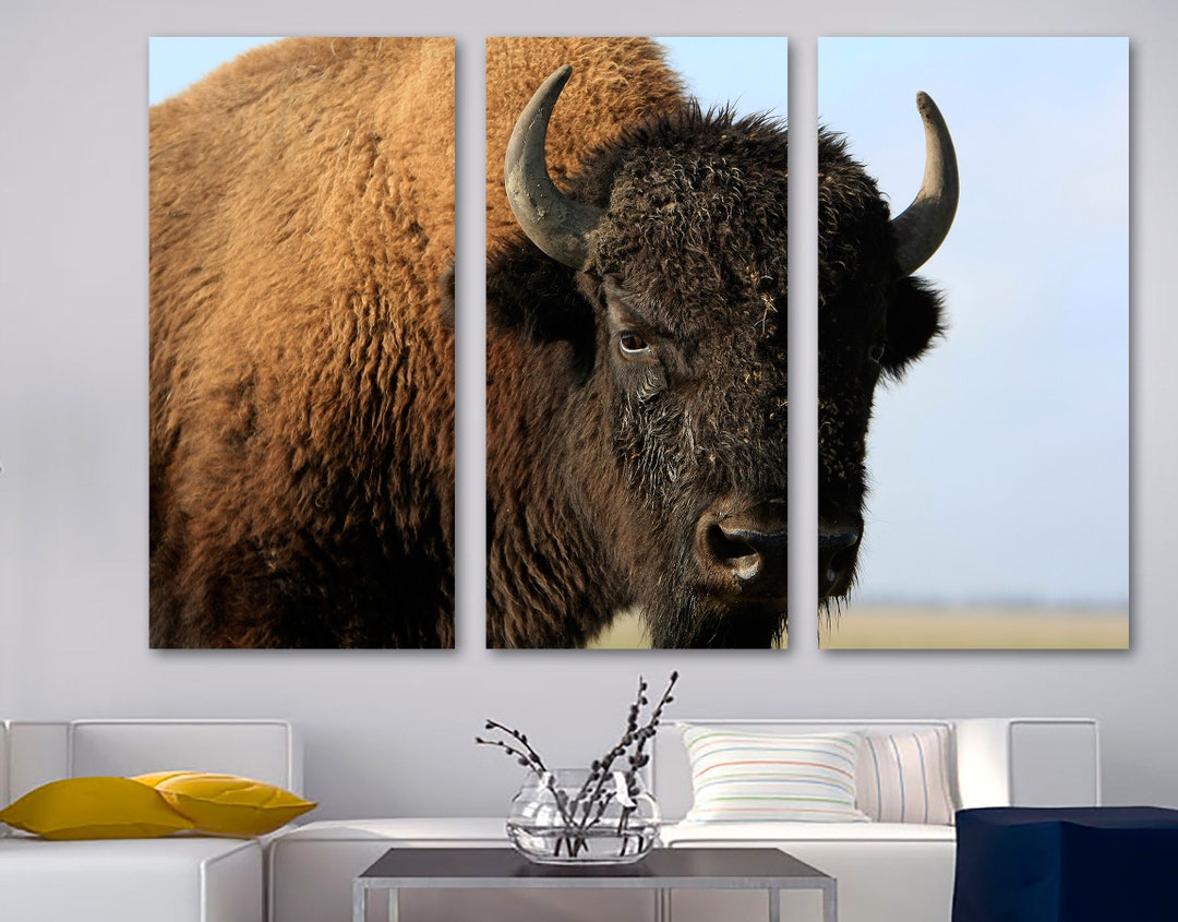Bison Closeup Canvas Print Wall Art. Buffalo Print Animal Art, Wildlife ...
