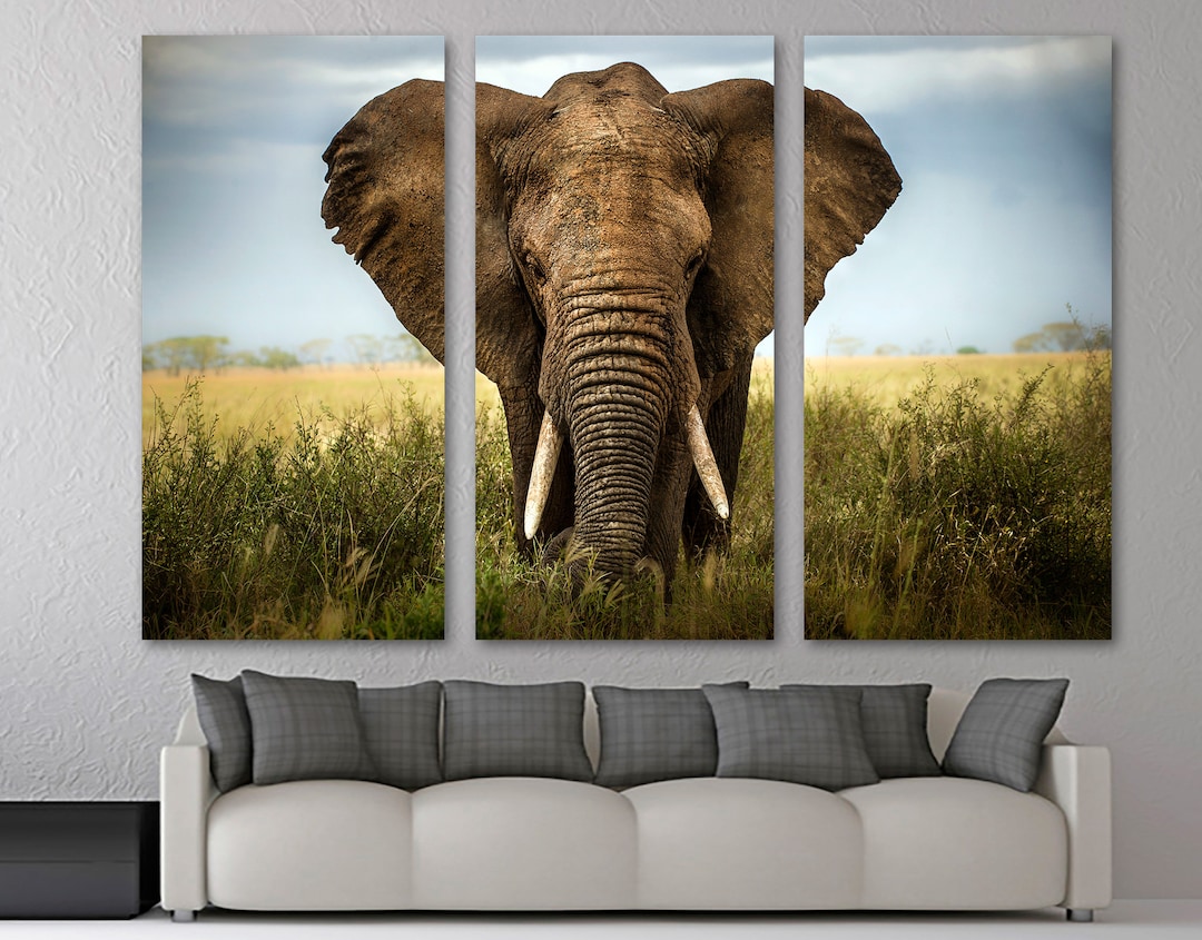 Giant Elephant Wall Art Canvas Print. Elephant Art, Wildlife ...