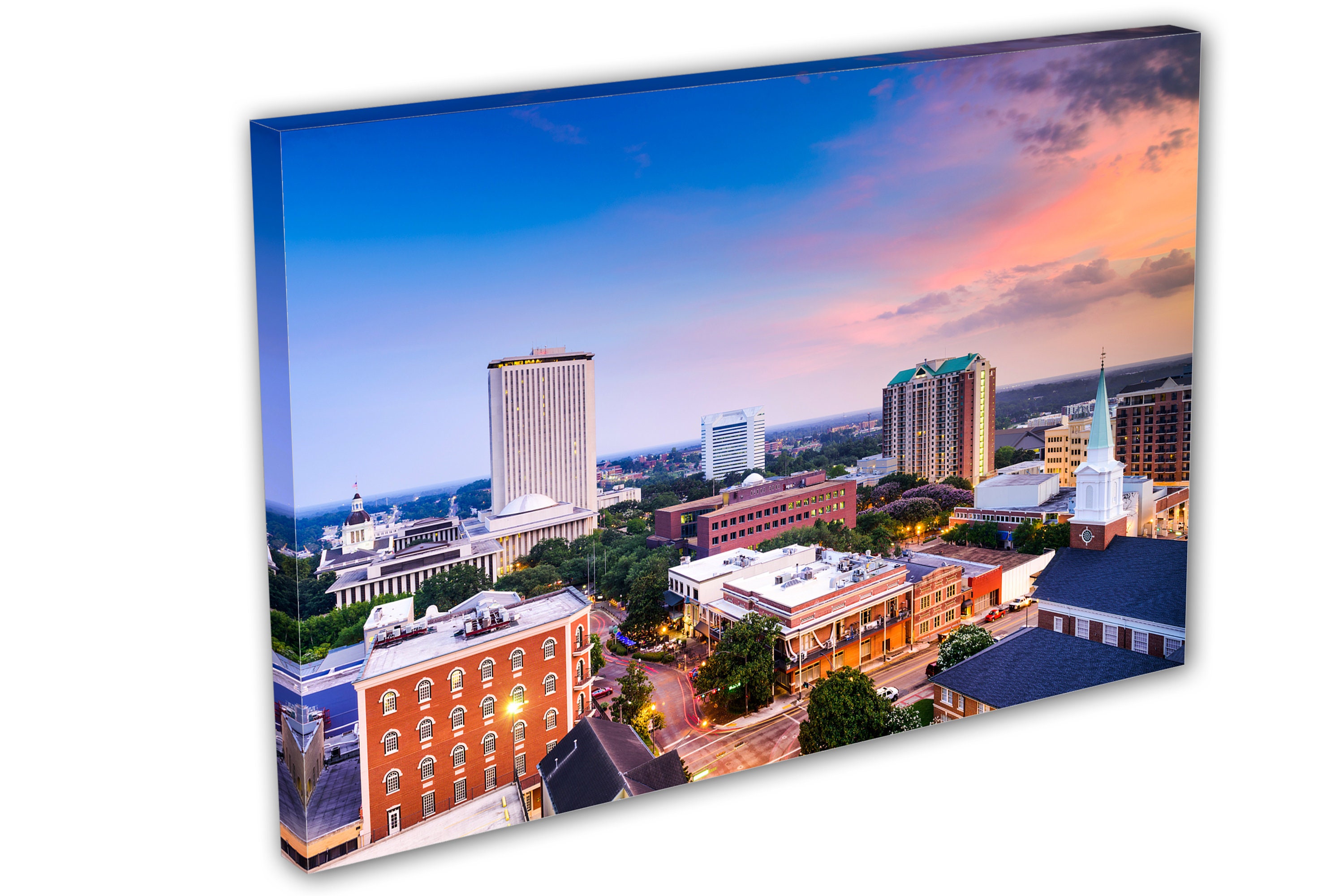Tallahassee Florida Canvas Print Wall Art. Tallahassee FL Etsy