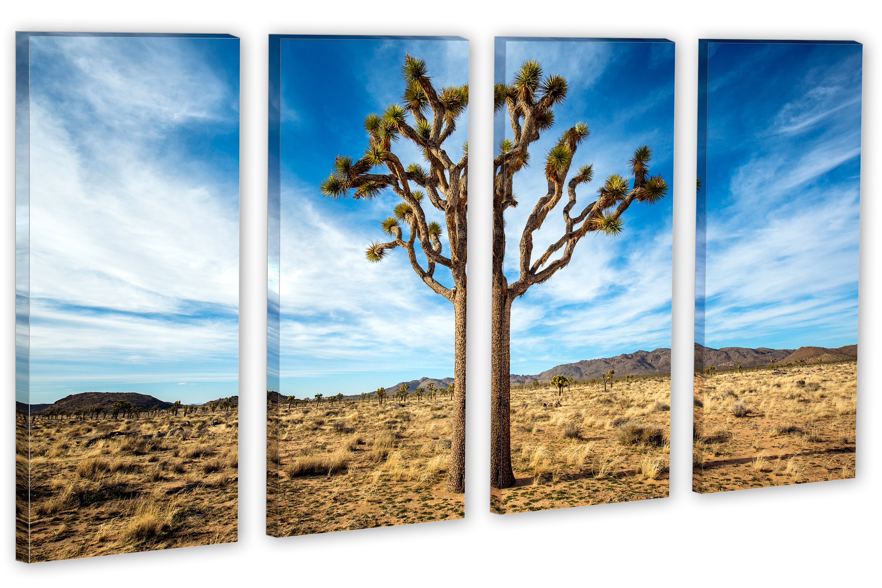 Joshua Tree National Park Canvas Print Wall Art. Lonely Tree Etsy
