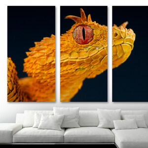 Eyelash viper Snake Head Wall Art Red Canvas Print - Dragon Snake Art, Animal Art viper - Giclee home art decor, wall decor, interior design