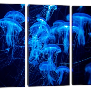 Blue Jellyfish Wall Art Canvas Print. Jellyfish Swarm Group Marine Life ...