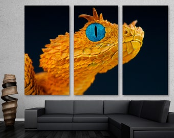 Eyelash viper Snake Head Wall Art Blue Canvas Print - Blue eyed Snake, Animal Art Reptile-Giclee home art decor, wall decor, interior design