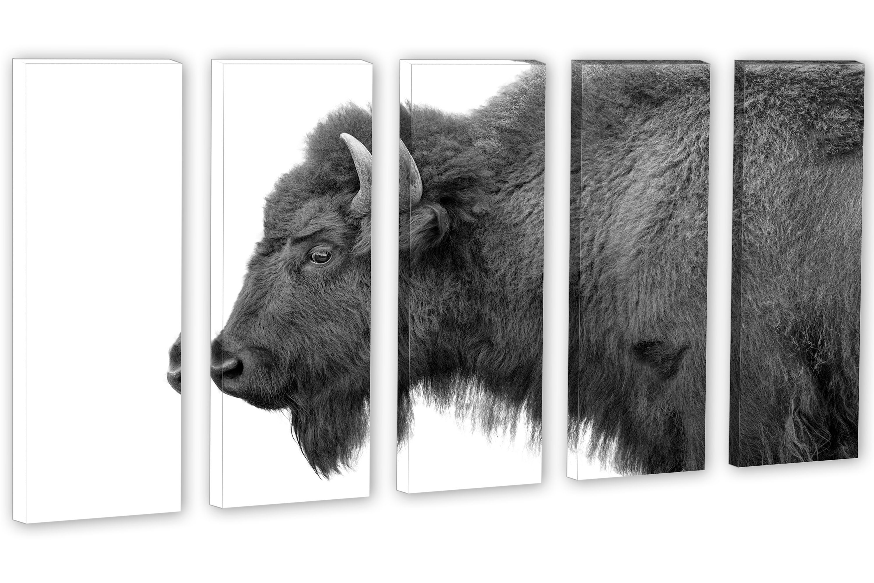 Bison Wall Art Black and White Canvas Buffalo Animal Print. Wildlife ...