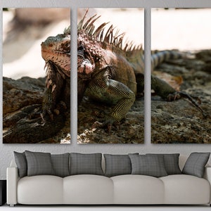 Iguana wall art decor Canvas Print - Wildlife Photography, Lizard print, Animal Art - Giclee home art decor, wall decor, interior design