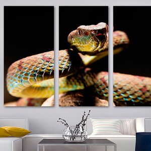 Viper Snake Wall Art Canvas Print - Snake Art, Reptile Print, Serpent Canvas Print - Giclee home art decor, wall decor, interior design