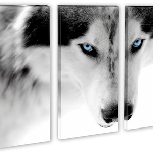 Blue Eyes Wolf 3 Panel Split, Triptych Canvas Print. Multi Panel Black ...