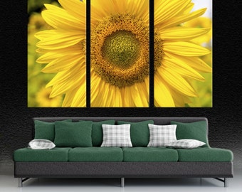 Yellow Sunflower Canvas Print Wall Art Large Botanical Closeup. Floral macro photography - Giclee living room decoration & interior design