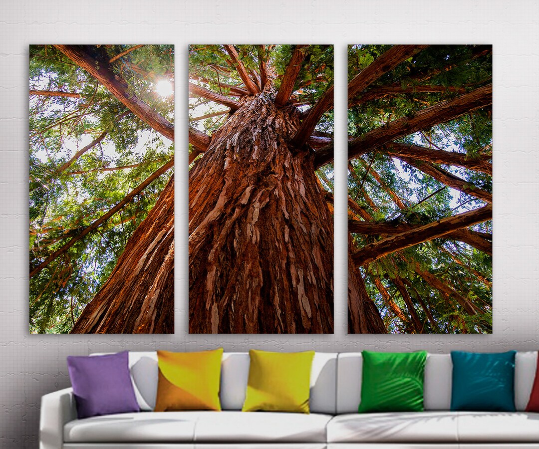 Sequoia Redwood Tree Bark Canvas Print Wall Art at Yosemite Etsy