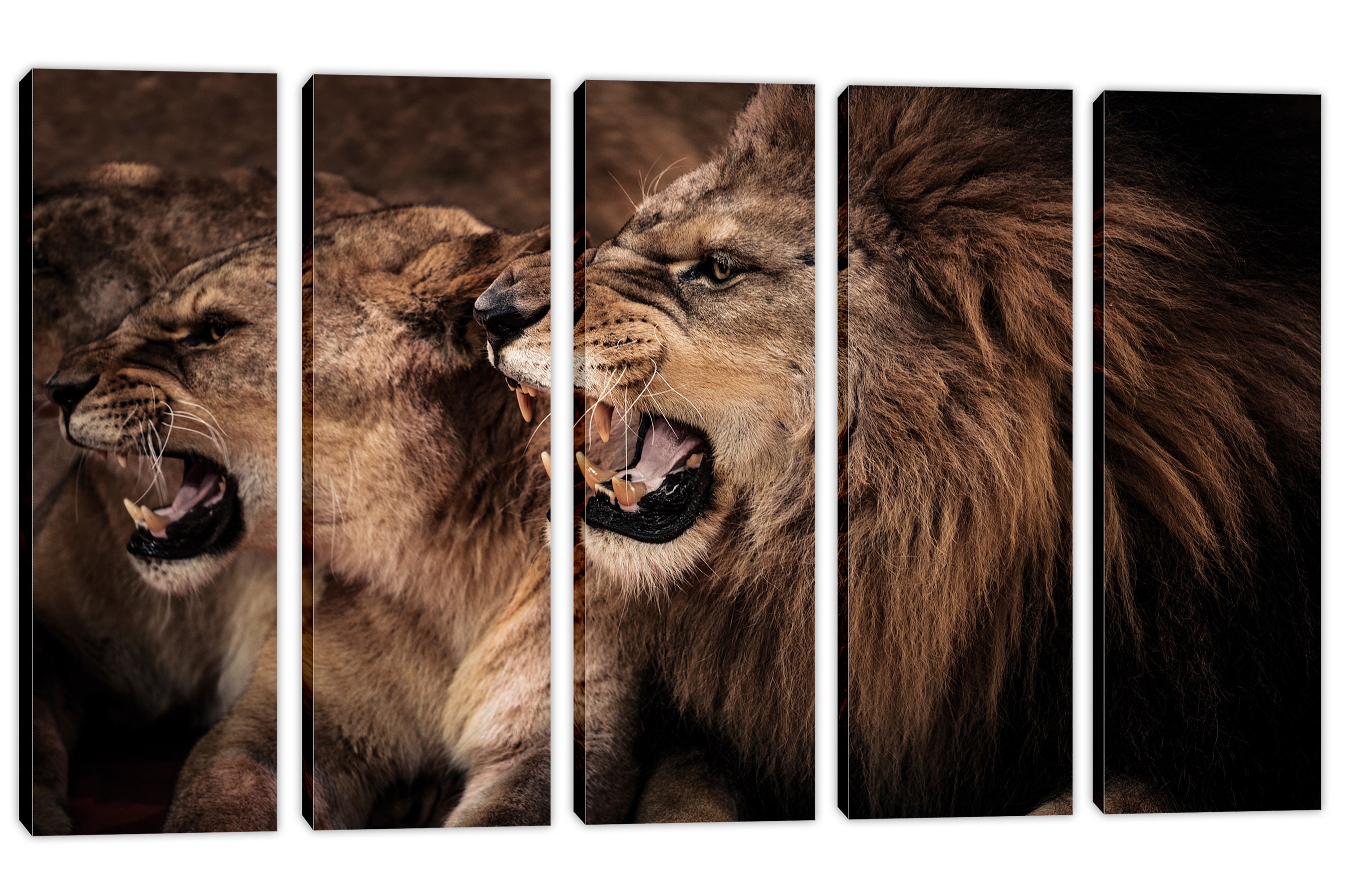Roaring lion and lioness Wall Art Canvas Print Lion Art Etsy