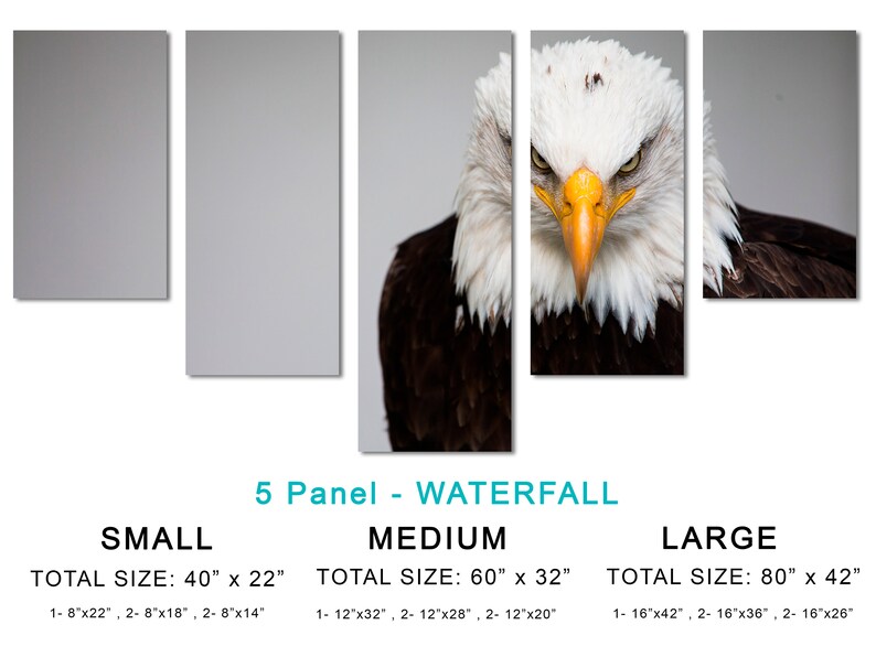 Wall Decor American Symbol Eagle Bird Interior Design Giclee Home Art Decor American Bald Eagle Portrait Canvas Print Wall Art Animal Art Collectibles Prints Alechcemisieszyc Pl