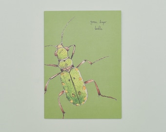 Handmade Greeting Card Tiger Beetle, Recycled Card