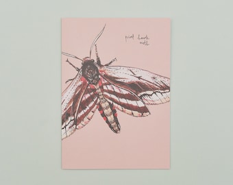 Handgemachte Grußkarte Liguster Falke Motte, Recycelte Karte