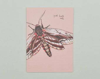 Handmade Greeting Card Privet Hawk Moth, Recycled Card