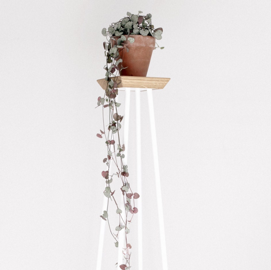 Tabouret de Plante Toro