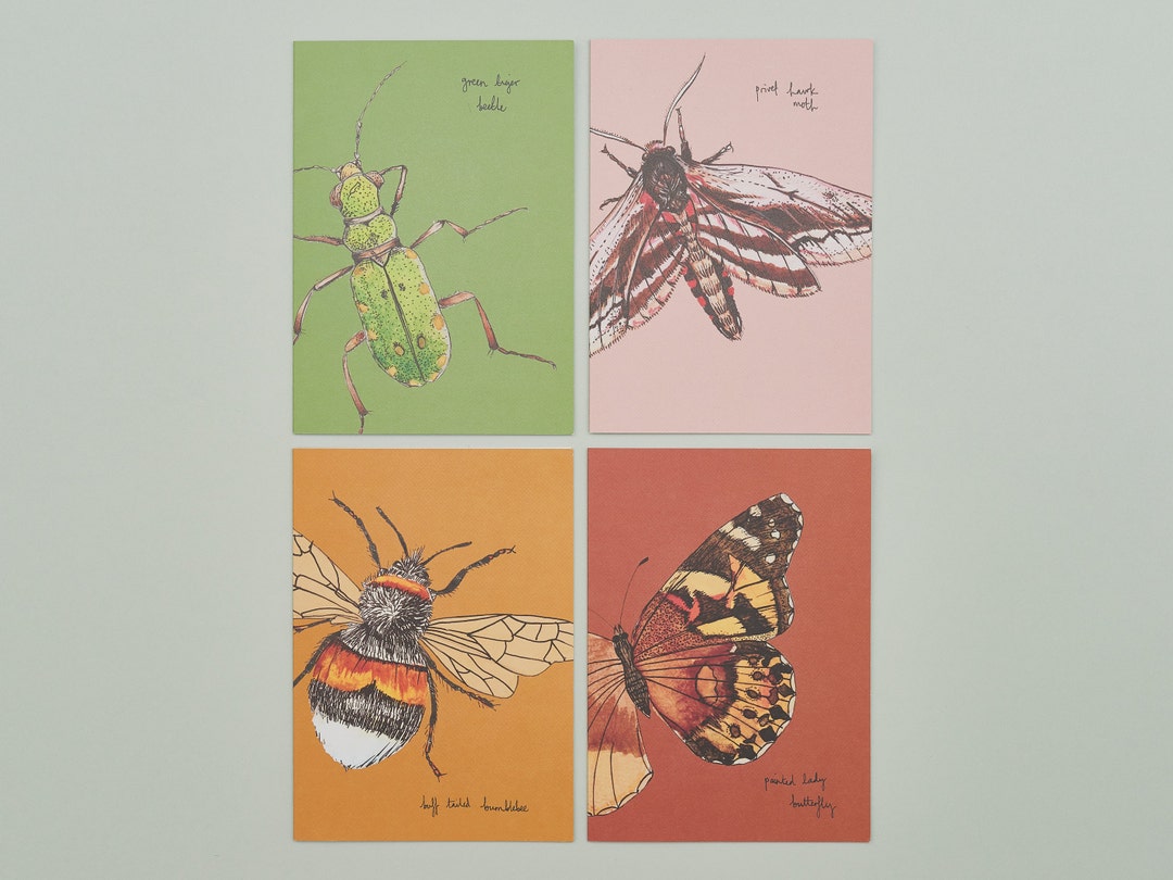 Set of Four Greeting Cards / British Insects - Etsy