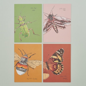 Set Of Four Greeting Cards / British Insects