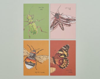 Set Of Eight Greeting Cards / British Insects