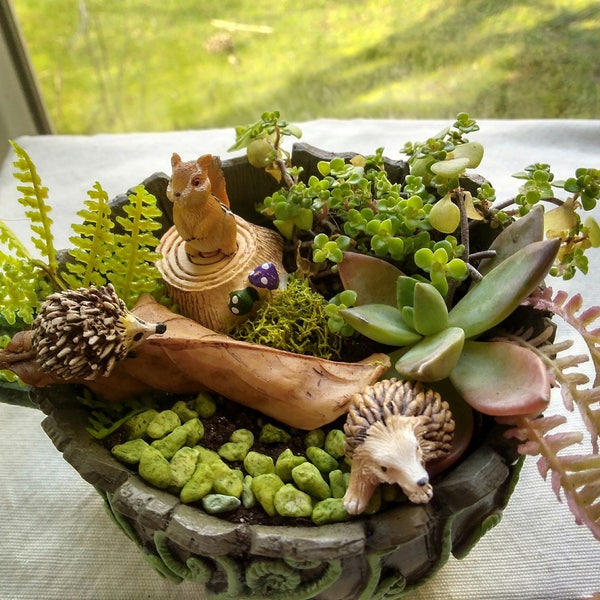 Teacup Planter Kit - Hedgehogs w/ Succulent Cuttings, Red Fairy Garden Door Woodland Animals Tea cup Container