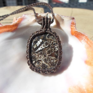 Turritella Fossil Necklace, Fossilized Sea Shell Jewelry, Macrame Pendant, Macrame Stone Necklace, Sea Lovers Necklace, Mens Boho Necklace