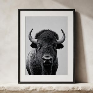 May include: A black and white framed wall art print featuring a front-facing portrait of a bison. The animal has thick, dark fur, prominent curved horns, and a focused gaze. The artwork is enclosed in a simple black frame with a white mat border.
