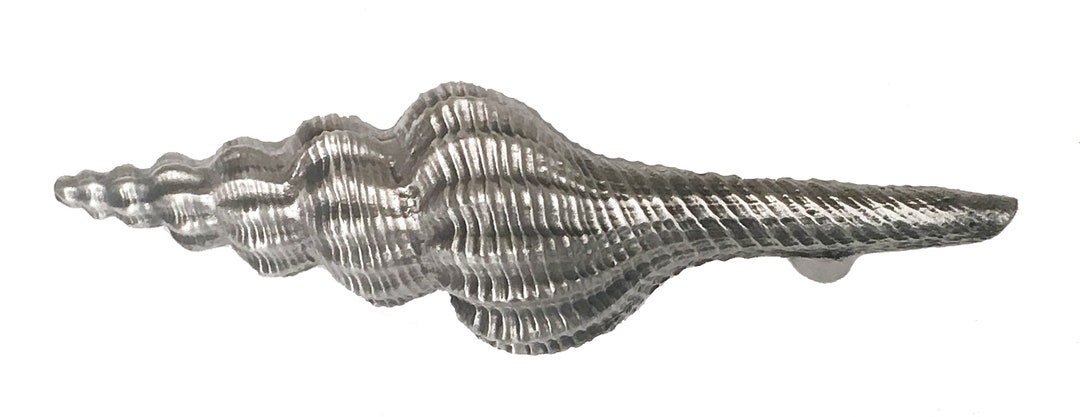 Turrid Shell Pull - Etsy