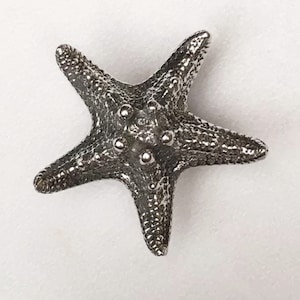 May include: A silver-colored starfish ornament with a textured surface.