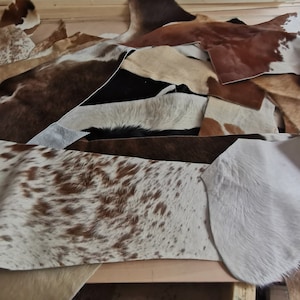 May include: A collection of assorted cowhide leather scraps in various natural patterns and colors, including solid white, solid black, brown and white spotted, and tan. The pieces feature short, textured fur and irregular, organic shapes.