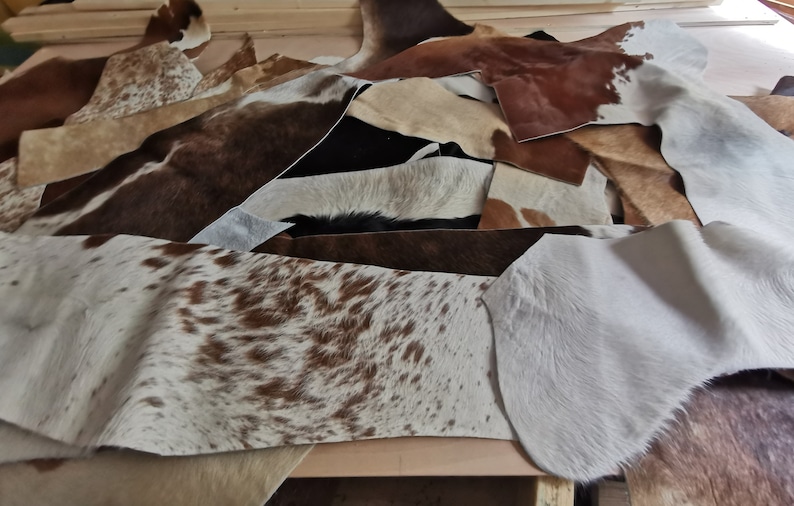 May include: A collection of assorted cowhide leather scraps in various natural patterns and colors, including solid white, solid black, brown and white spotted, and tan. The pieces feature short, textured fur and irregular, organic shapes.