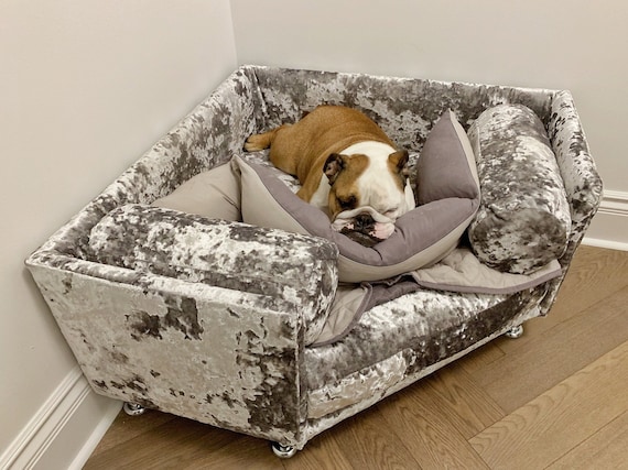 Dog top sofa ireland