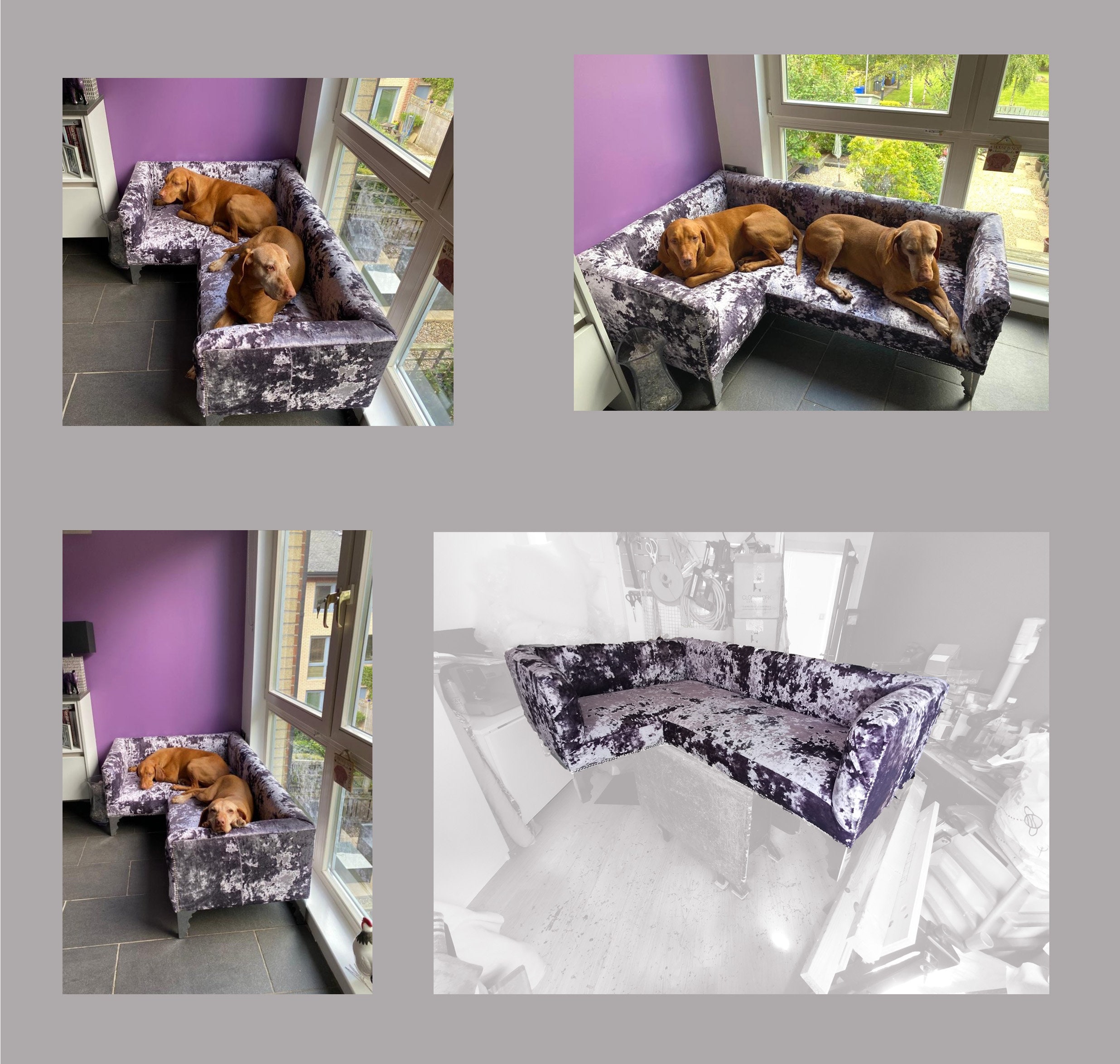 Large crushed velvet dog bed cheap