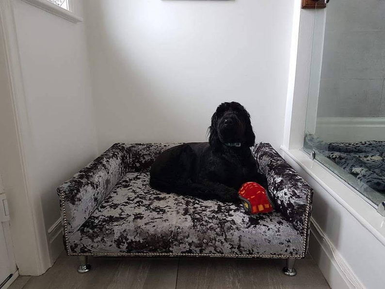 May include: A black dog laying on a gray and white velvet dog bed with a red toy. The bed has silver studs around the edges and silver legs.