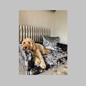 Luxury Dog Sofa With Removeable Cushion